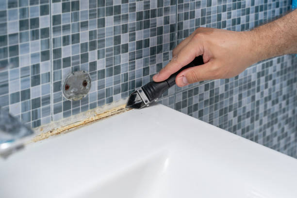 Best Black Mold Removal  in Lame Deer, MT